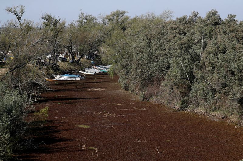 arroyo sin agua rosario botes