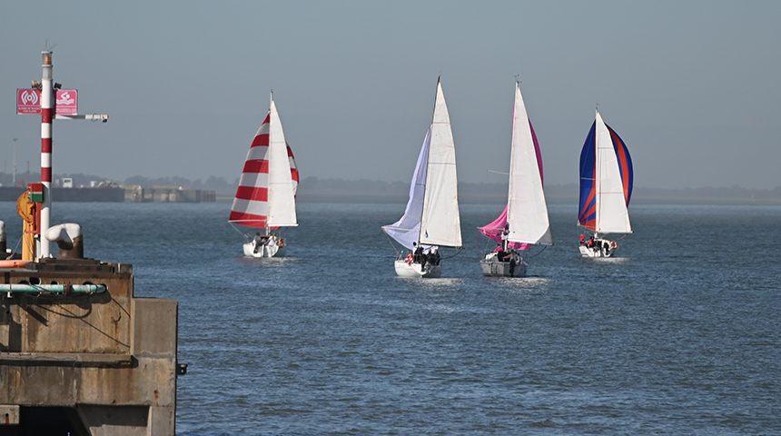 regata dia armada