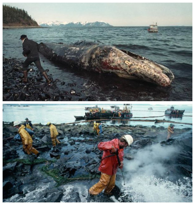 desastre exxon valdez