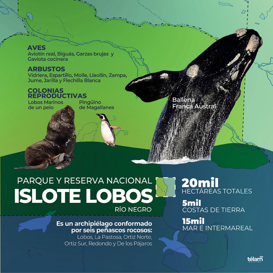 parque nacional islote lobos