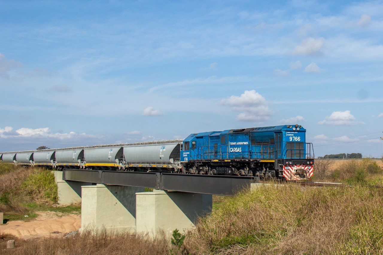 trenes argentinos cargas