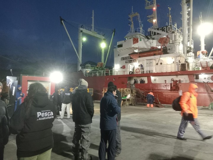 El procedimiento en el puerto de Ushuaia y los ejemplares de juveniles de merluza negra que hallaron los inspectores.