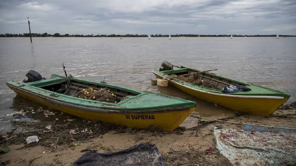 SALMONES RIO PARANA