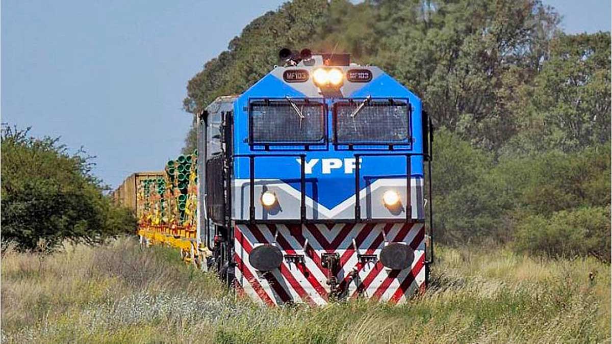 tren bahia blanca vaca muerta