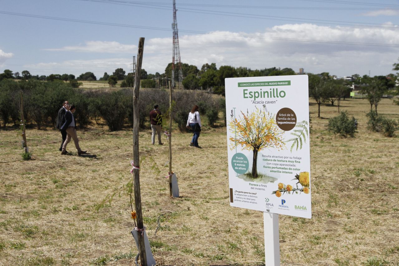 campana refineria