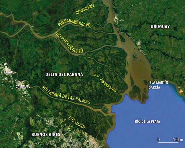 delta del parana