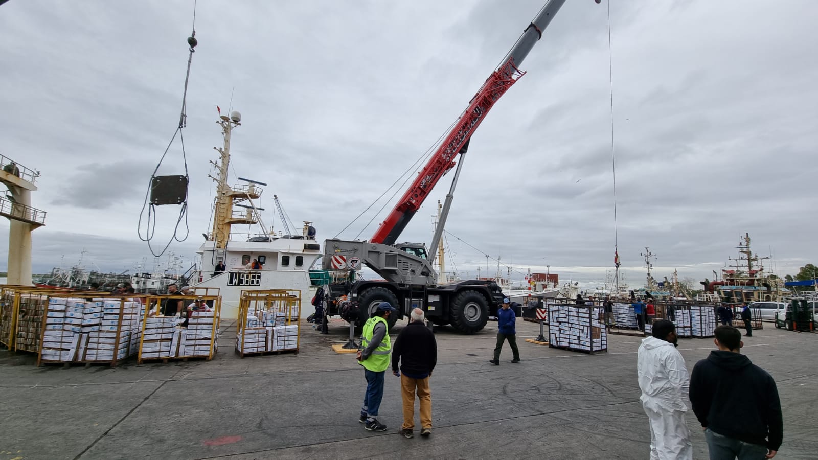 descarga verdel puerto frio