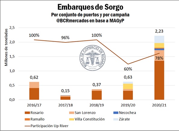 grafico sorgo bcr