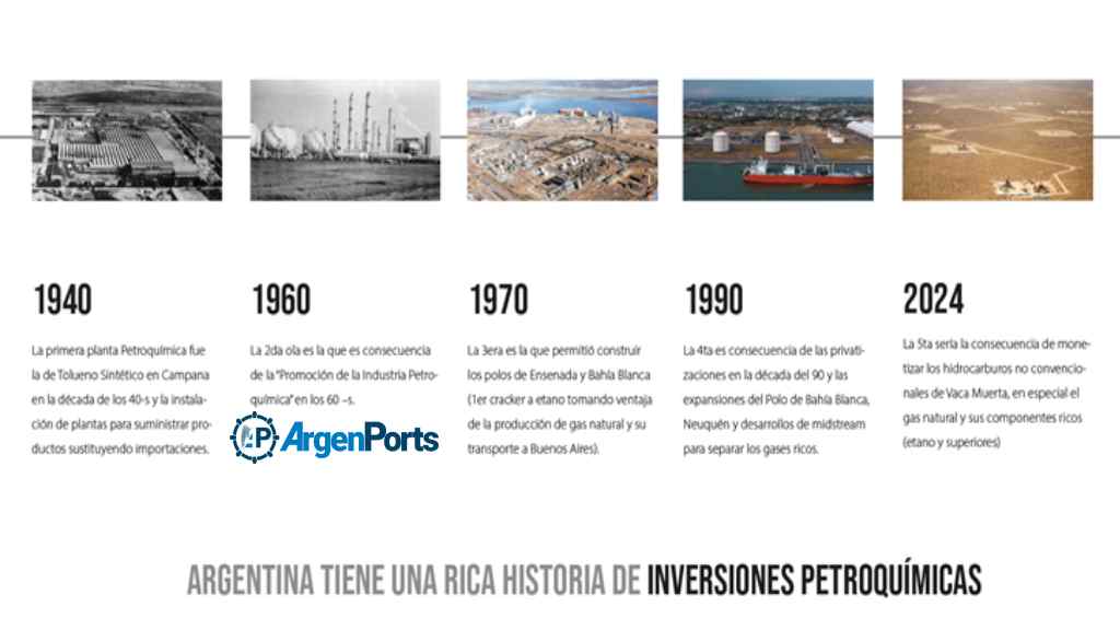 evolucion petroqumica en argentina