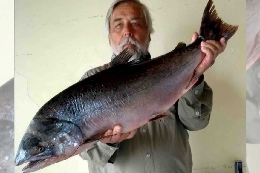 Ejemplar capturado en 2020 en el río Uruguay.  Foto: Gentileza Fabio Baena