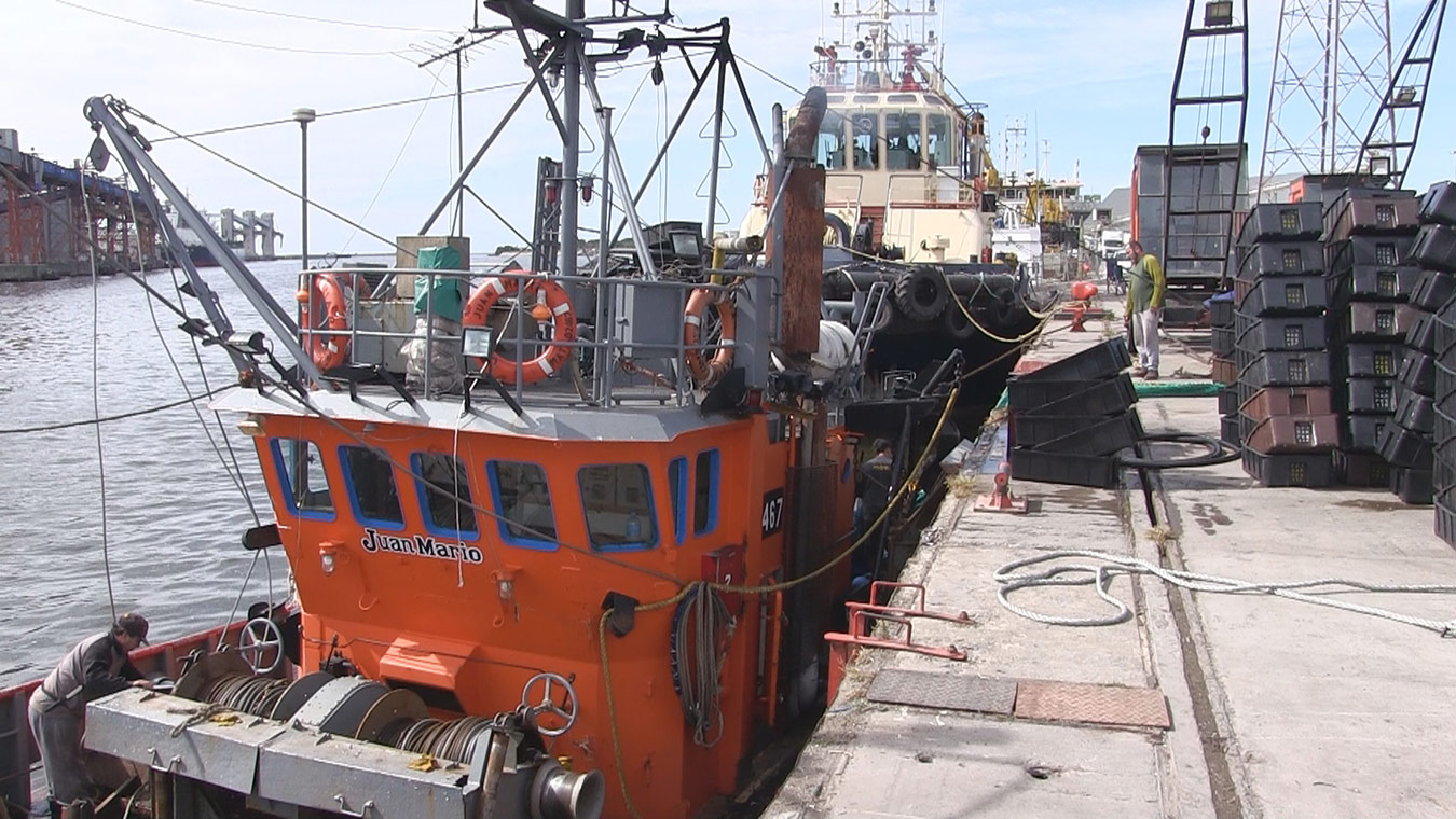 pesca necochea puerto