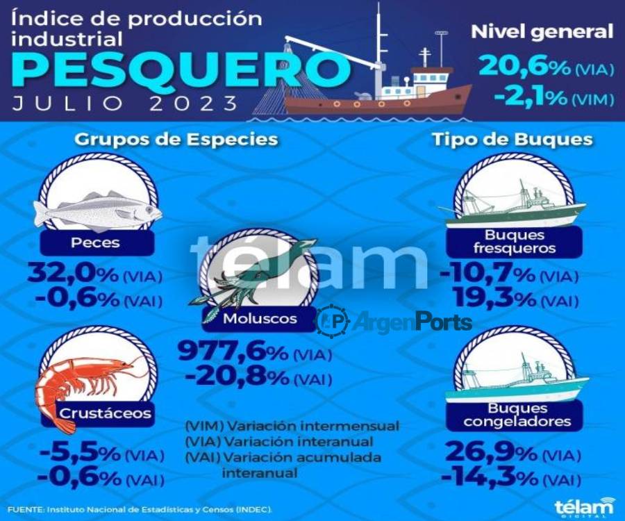 infografia pesca