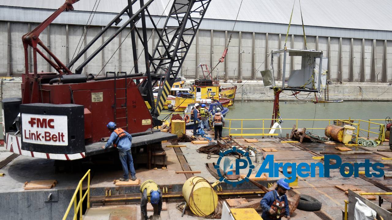 gruas bahia blanca puerto