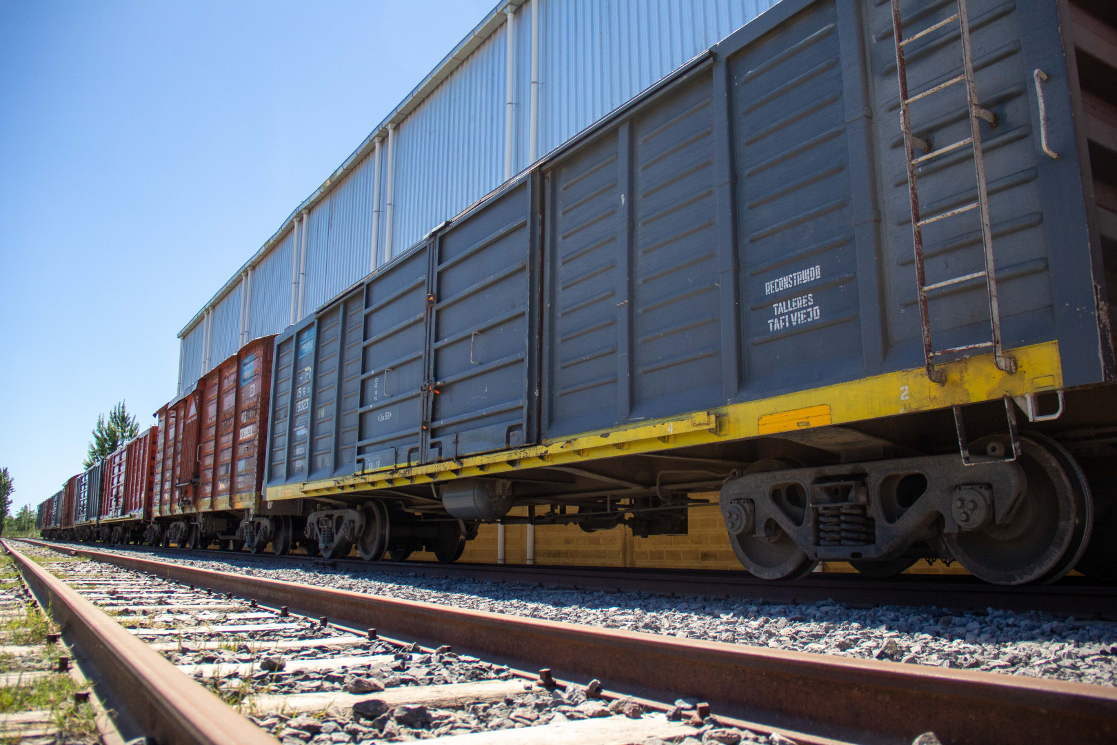 trenes carga argentina